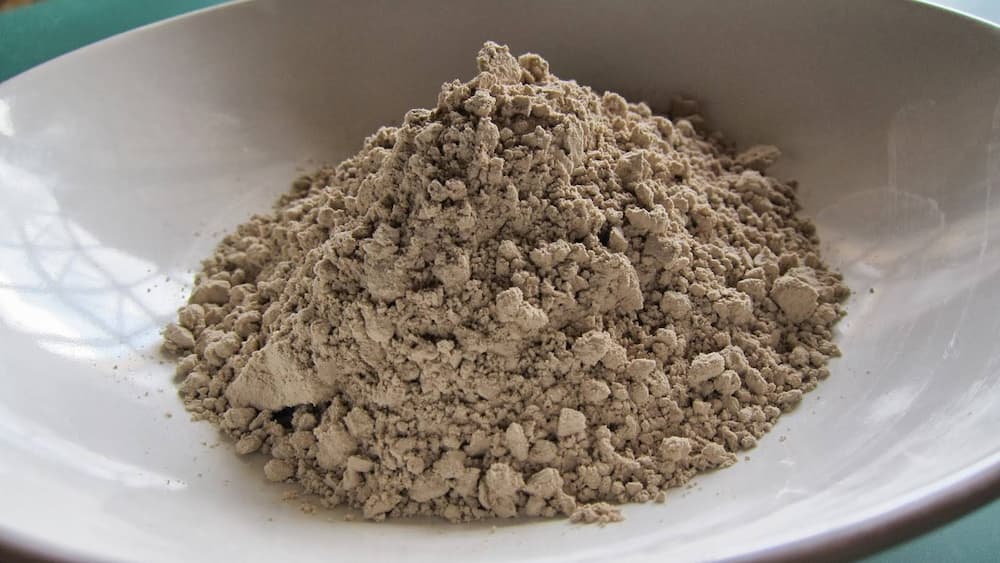  The Price of bentonite cattle + Purchase and Sale of bentonite cattle Wholesale 